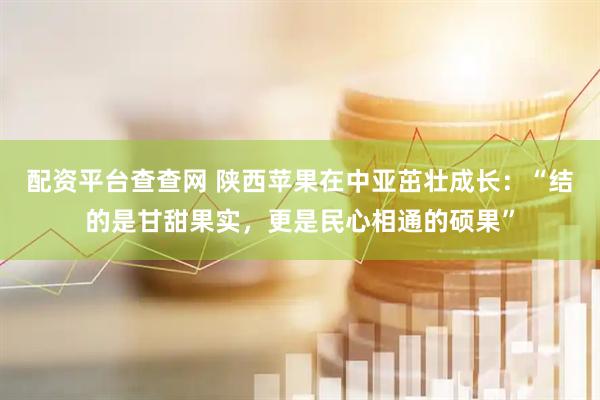配资平台查查网 陕西苹果在中亚茁壮成长：“结的是甘甜果实，更是民心相通的硕果”