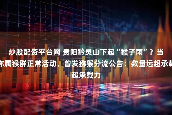 炒股配资平台网 贵阳黔灵山下起“猴子雨”？当地称属猴群正常活动，曾发猕猴分流公告：数量远超承载力