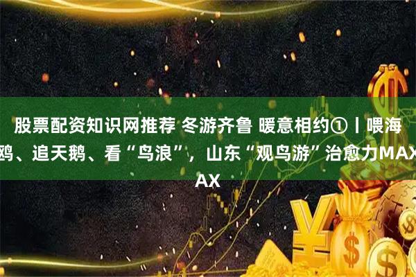 股票配资知识网推荐 冬游齐鲁 暖意相约①丨喂海鸥、追天鹅、看“鸟浪”，山东“观鸟游”治愈力MAX