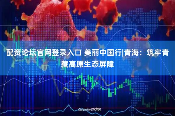 配资论坛官网登录入口 美丽中国行|青海：筑牢青藏高原生态屏障