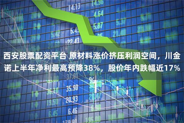 西安股票配资平台 原材料涨价挤压利润空间，川金诺上半年净利最高预降38%，股价年内跌幅近17%